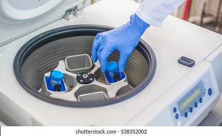 Technician loading a sample to centrifuge machine in the medical or scientific laboratory - Shutterstock ID 538352002