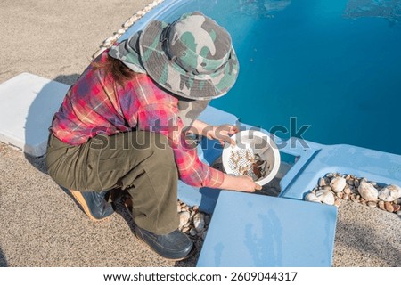 Technician trying to removing leaf and debris from pool skimmer. Pool skimmers are designed to draw water from the surface and suck it through the pool's filtration system.