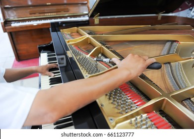 Technician, Tuning The Piano