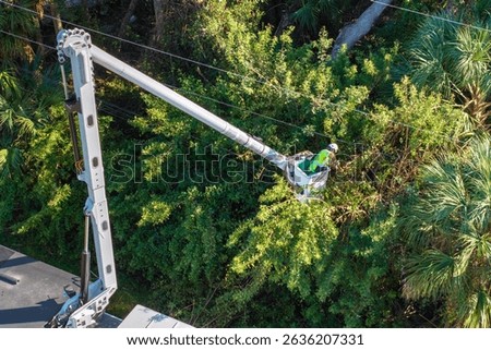 Technician worker cutting tree branches from the electrical power cable area to reduce power outages