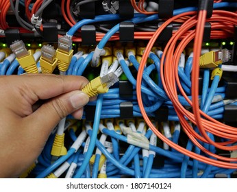 Woman Connecting Network Cables Switches Stock Photo 171079511 ...