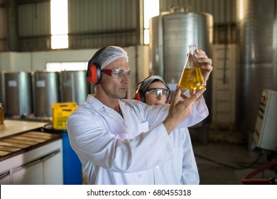 Technicians examining olive oil in factory - Powered by Shutterstock