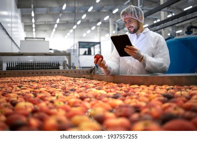 Technologist Doing Quality Control Of Apple Fruit Production In Food Processing Plant.