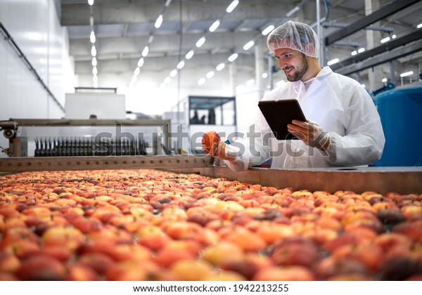 Technologist in food processing\
factory controlling process of apple fruit selection and\
production.