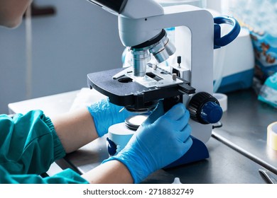 Technologist hands adjusting microscope for imaging, bluegloved hands set slide and finetune focus, protective gown