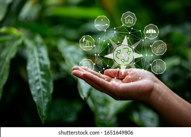 Technology, hand holding with environment Icons over the Network connection on green background. - Shutterstock ID 1651649806