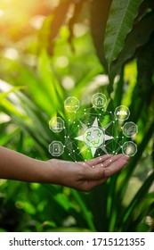 Technology, hand holding with environment Icons over the Network connection on green background. - Shutterstock ID 1715121355