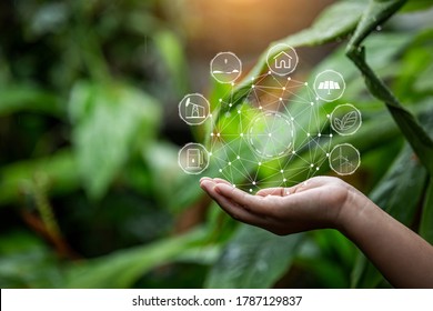 Technology, hand holding with environment Icons over the Network connection on green background. - Shutterstock ID 1787129837