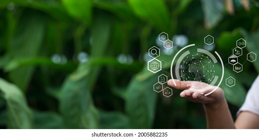 Technology, hand holding with environment Icons over the Network connection on green background. - Shutterstock ID 2005882235