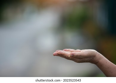 Technology, hand holding with environment Icons over the Network connection on green background - Shutterstock ID 2023523543