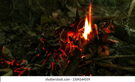 Technology is, of course, a double edged sword. Fire can cook our food but also burn us.