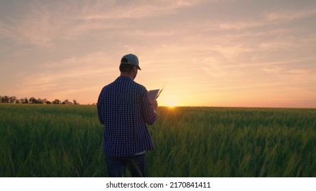 Technology of modern agriculture, farmer working on field with digital tablet in agriculture. Farmer with computer tablet evaluates green wheat sprouts in field at sunset. Ecologically clean grain - Shutterstock ID 2170841411