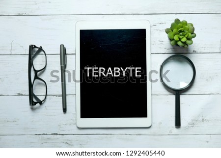Technology phrase term concept. Top view of glasses,pen,plant,magnifying glass and tablet written with Terabyte on white wooden background.