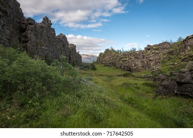 Tectonic Divide