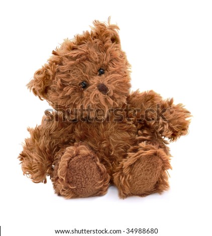 Teddy Bear
