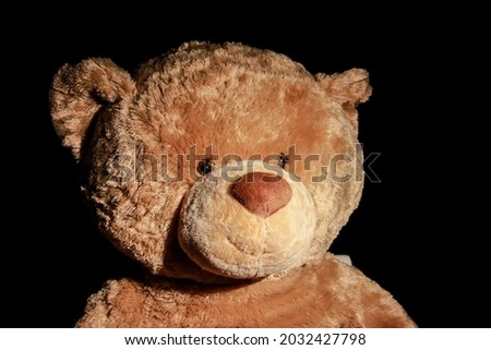 Teddy Bear against a black background 