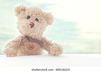 Teddy bear with blue sky background ,He is standing  take a photo  with smile happy feel.