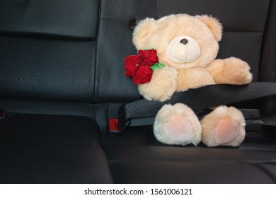 teddy bear in car