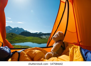 Teddy Bear Camping In Mountains