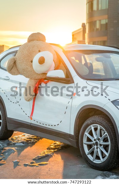 Teddy bear\
in the car isolated, gift, Valentines\
day