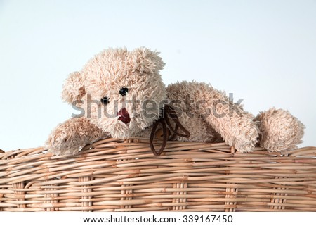 teddy bear is climbing  on basket