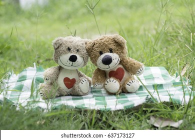 Teddy Bear Couple Sitting On A Fabric On Grass.