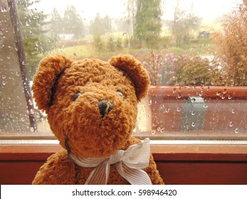 Teddy Bear In Front Of Window With Raindrops 