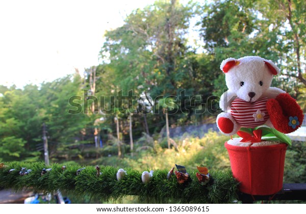 teddy bear garden
