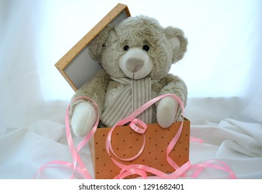 teddy bear with a gift