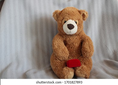 Teddy Bear With Gift Ring