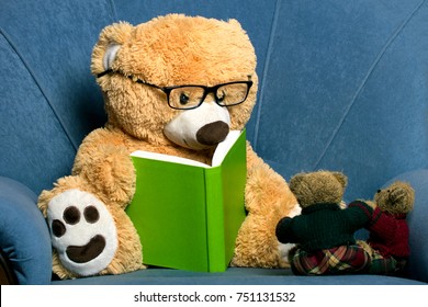 teddy bear spectacles