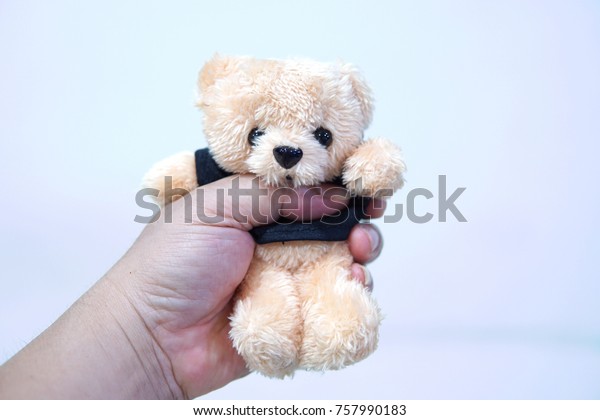 teddy bear in hand