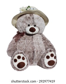 Teddy bear in hat