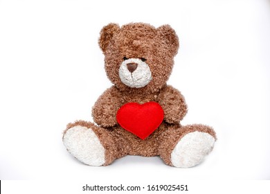 Teddy bear hold heart on white background, Valentines day . a soft bear toy holds a heart on a white background