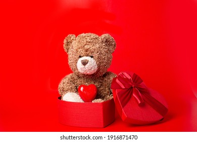 teddy bear hold heart  and present box  on red background valentine's day