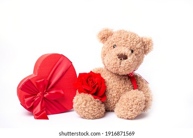 teddy bear hold red rose and heart shaped box valentine's day isolated on white background