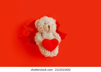 Teddy bear holding Hug red heart in paws. Toy teddy bear climbs out of torn paper holes with love heart symbol for Valentine's Day Isolated on red color background. Minimalistic love concept