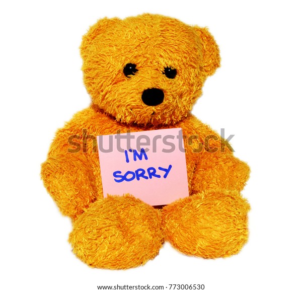 teddy bear im sorry