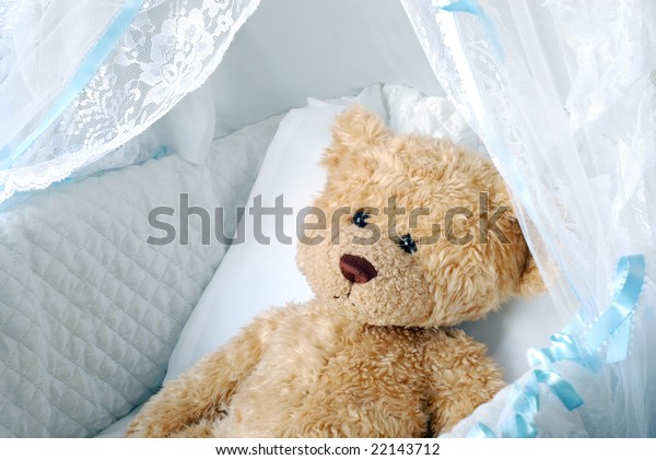 teddy bear bassinet