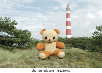 Teddy Bear, Island Ameland