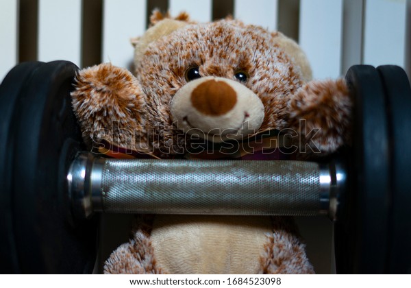 weightlifting teddy bear