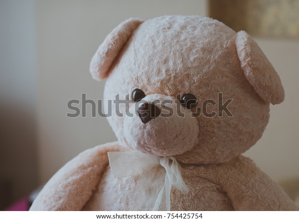 teddy bear light brown