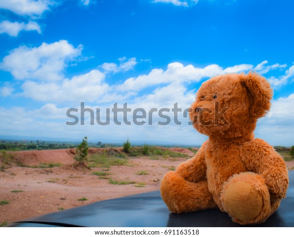 teddy bear lonely\
on car blue sky\
background