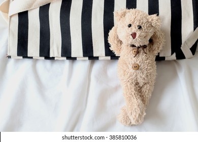 Teddy Bear Lying In The Bed