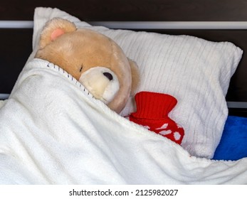 Teddy Bear Lying In Bed With Hot Water Bottle On Pillow Under Cozy Blanket