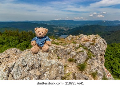 A Teddy Bear Named Dranik Sits On Top Of A Mountain.