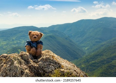 A Teddy Bear Named Dranik Sits On Top Of A Mountain.