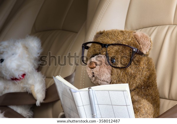 Teddy bear with notebook\
sit in car