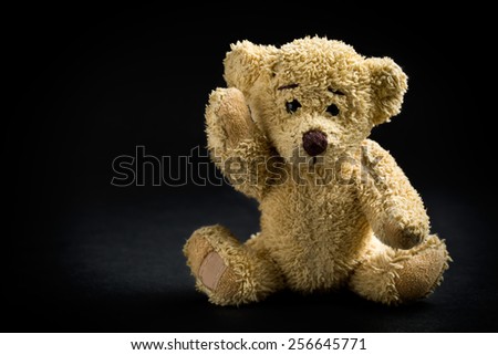 the teddy bear on black background