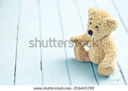 the teddy bear on blue table